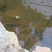 Oscar Meadows Photo 11