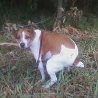 Ruby Hunt Photo 21