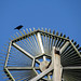 Alison Crow Photo 17