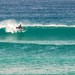 Travis Cowley Photo 3