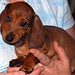 Heidi Browning Photo 27