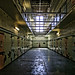Michael Travers Photo 22