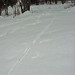 Peter Kaiser Photo 15