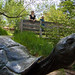 Jennifer Loveland Photo 14