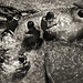 Shiu Wong Photo 12