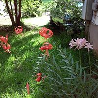 Jill Fortner Photo 2