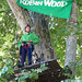 Robin Woods Photo 16