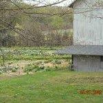 Sandy Robbins Photo 6