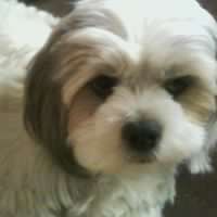 Connie Jaramillo Photo 6