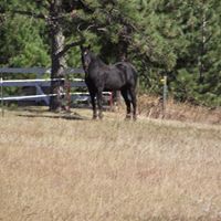 Ron Stevenson Photo 25