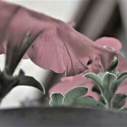 Lori Rich Photo 34