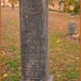 George Beal Photo 35