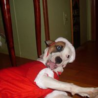 Bradley Robinson Photo 10