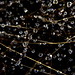 Lluvia Rodriguez Photo 14