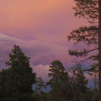 Colleen Robertson Photo 8
