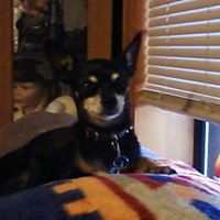 Albert Blaylock Photo 8