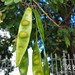 Juan Bean Photo 14