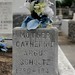 Catherine Schultz Photo 28