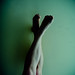 Mitchell Robins Photo 9
