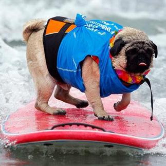 Tiffany Banks Photo 12