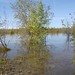 Jennifer Pond Photo 23
