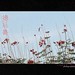 Mei Fu Photo 16