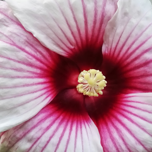 Amy Olsen Photo 29
