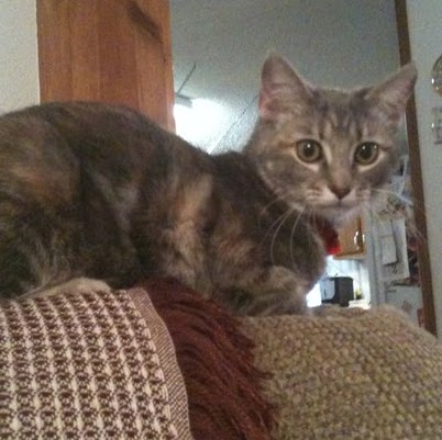 Carolyn Myers Photo 2