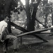 Lawrence Becker Photo 34