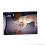 Ruth Black Photo 39