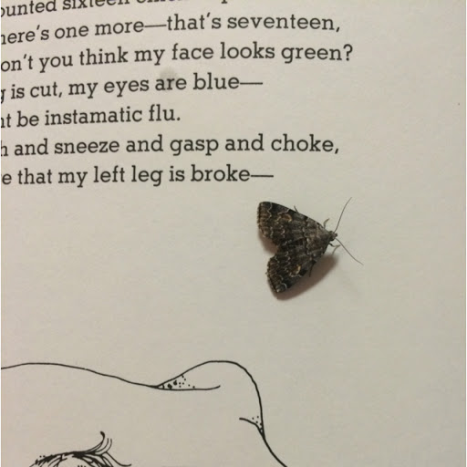 Elizabeth Halpin Photo 8