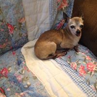 Marie Flagg Photo 3