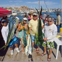 Steve Calvert Photo 19