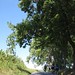 Frederick Godwin Photo 7