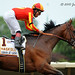 Bob Haskell Photo 3
