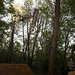 Chad Rowland Photo 39