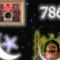 Yasmeen Hussain Photo 23