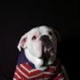 Allison Hendricks Photo 15