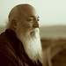 David Gold Photo 22
