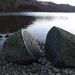 Jeanne Cleaves Photo 6