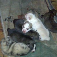 Kay Graham Photo 26
