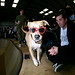 Jerry Trujillo Photo 8