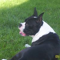 William Dunlap Photo 43