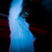 Lee Adams Photo 50