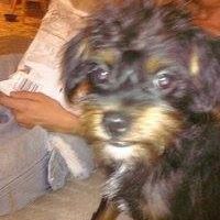 Charles Mann Photo 3