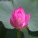 Michelle Cates Photo 9
