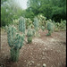 Michael Bade Photo 15