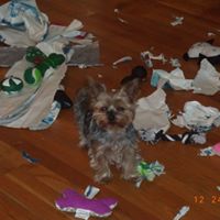 Vicki Winters Photo 16