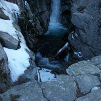 Deborah Beck Photo 17