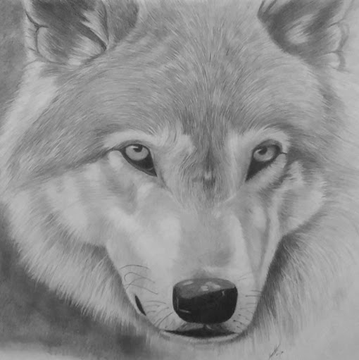 Cynthia Kirk Photo 9